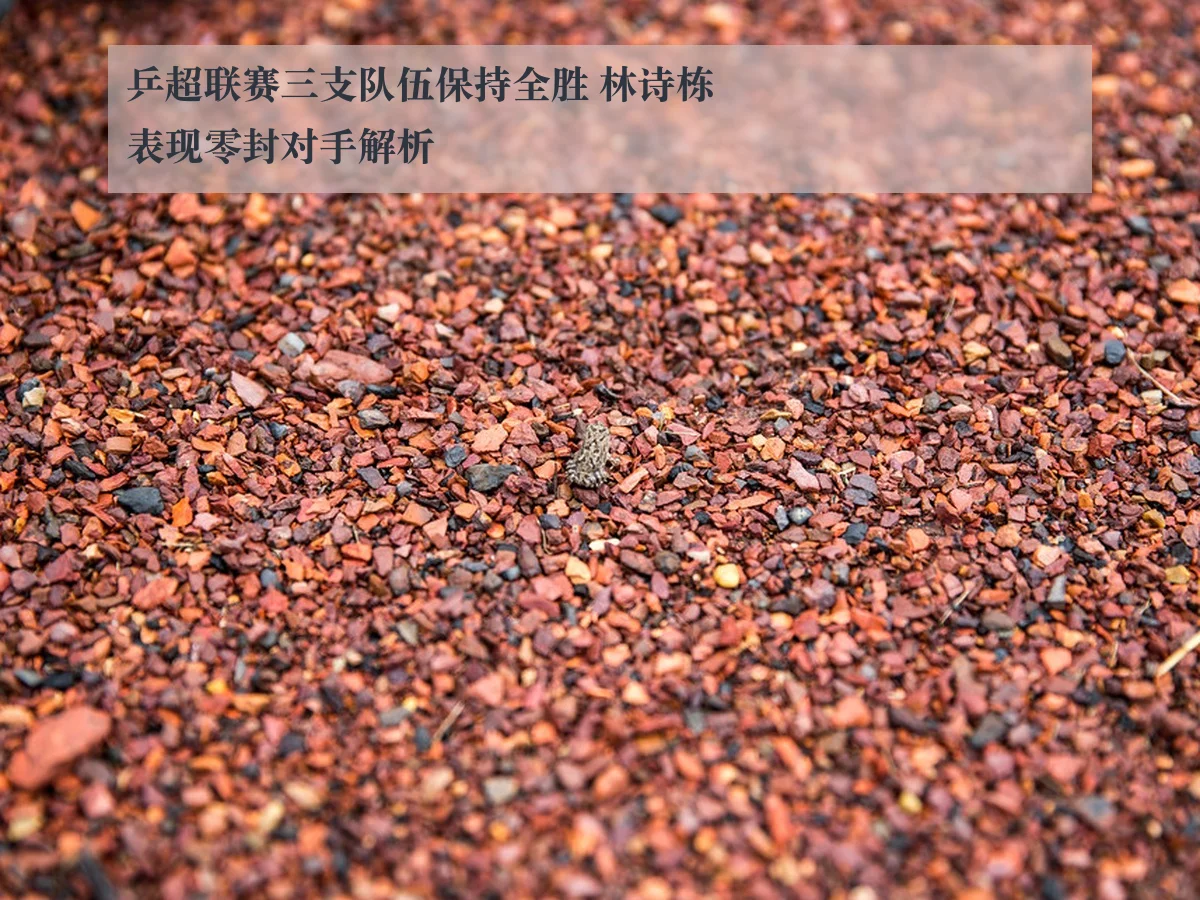 乒超联赛三支队伍保持全胜 林诗栋表现零封对手解析